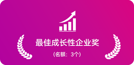 最佳成长性企业奖